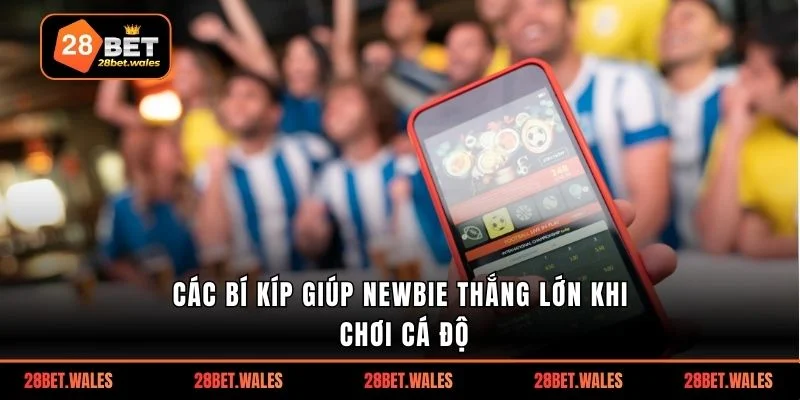 Các bí kíp giúp Newbie thắng lớn khi chơi cá độ