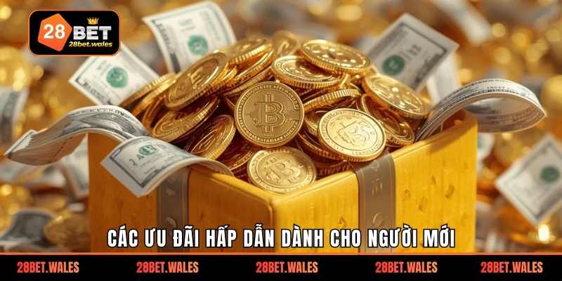 Các ưu đãi hấp dẫn dành cho người mới