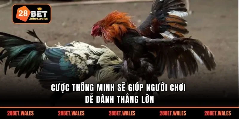 Cược thông minh sẽ giúp người chơi dễ dành thắng lớn