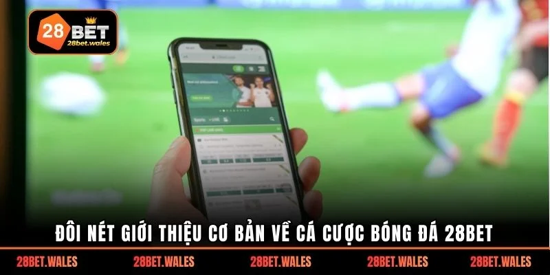 Đôi nét giới thiệu cơ bản về cá cược bóng đá 28bet