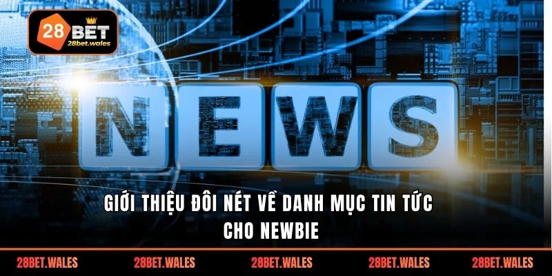 Giới thiệu đôi nét về danh mục tin tức cho Newbie