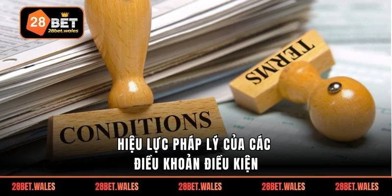 Hiệu lực pháp lý của các điều khoản điều kiện