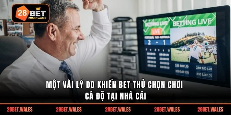 Một vài lý do khiến bet thủ chọn chơi cá độ tại nhà cái