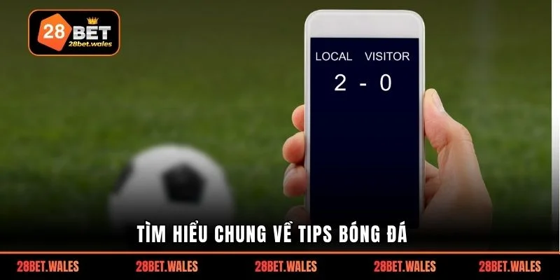 Tìm hiểu chung về tips bóng đá