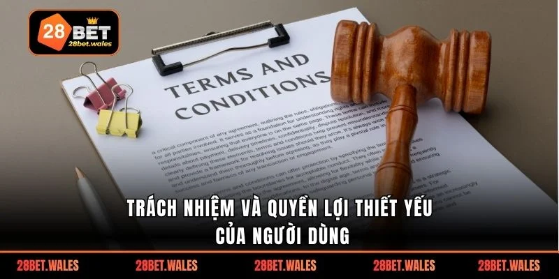 Trách nhiệm và quyền lợi thiết yếu của người dùng