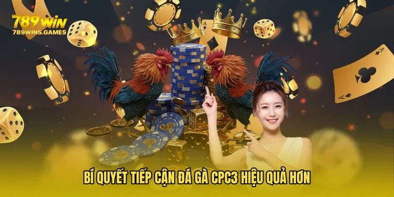 Bí quyết tiếp cận Đá Gà CPC3 hiệu quả hơn