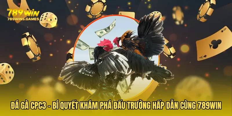 Đá Gà CPC3 - Bí Quyết Khám Phá Đấu Trường Hấp Dẫn Cùng 789WIN