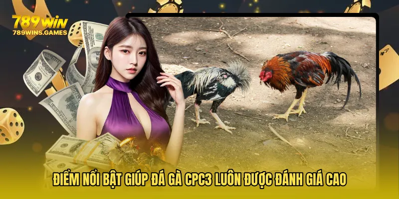 Điểm nổi bật giúp Đá Gà CPC3 luôn được đánh giá cao